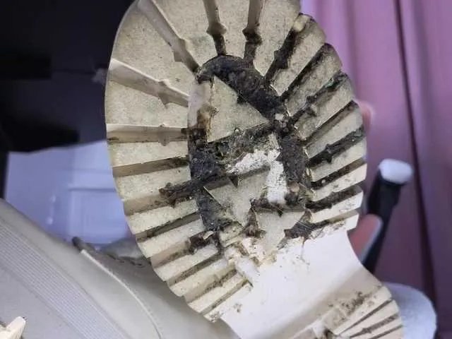 fairyxblair — Worship me and my boots #findom #boots #feet #femdom #chastity #slave #paypig