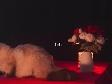 hannasthesia on Chaturbate 